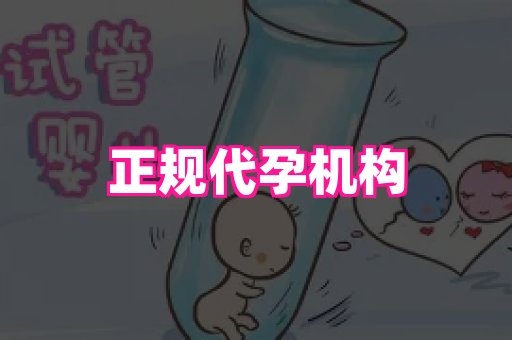 无锡助孕网 4